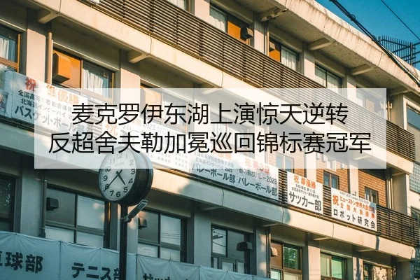麦克罗伊东湖上演惊天逆转 反超舍夫勒加冕巡回锦标赛冠军